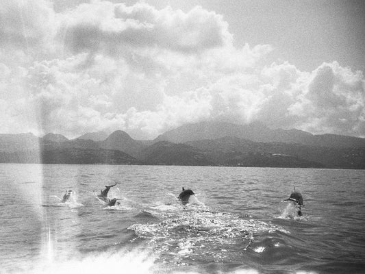 Martinique